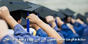 sindh-scholarships-1100
