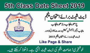 5th class date sheet 2019